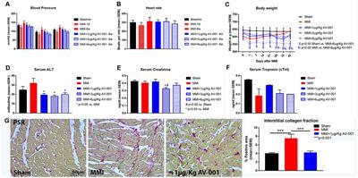 Treatment With an Angiopoietin-1 Mimetic Peptide Improves Cognitive Outcome in Rats With Vascular Dementia